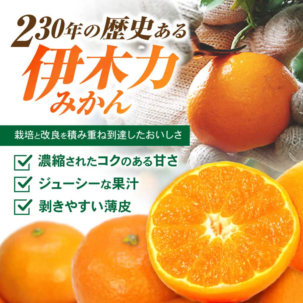 ※【2026年12月上旬より順次発送／先行予約】【大人気みかんとレモンのお試しセット】伊木力みかん(家庭用)1.8kg マイヤーレモン1.8kg 計3.6kg / みかん ミカン 蜜柑 mikan 柑橘 かんきつ レモン れもん 檸檬 果汁 果物 / 諫早市 / 山野果樹園 [AHCF016]