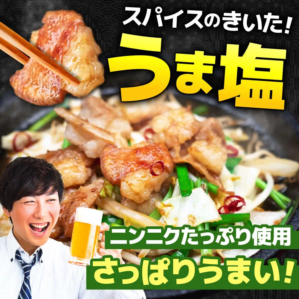 【3回定期便】岐阜県産豚もつの鉄板焼き「元祖みたけとんちゃん」豚塩味（4人前）[AVAA058]豚肉 定期