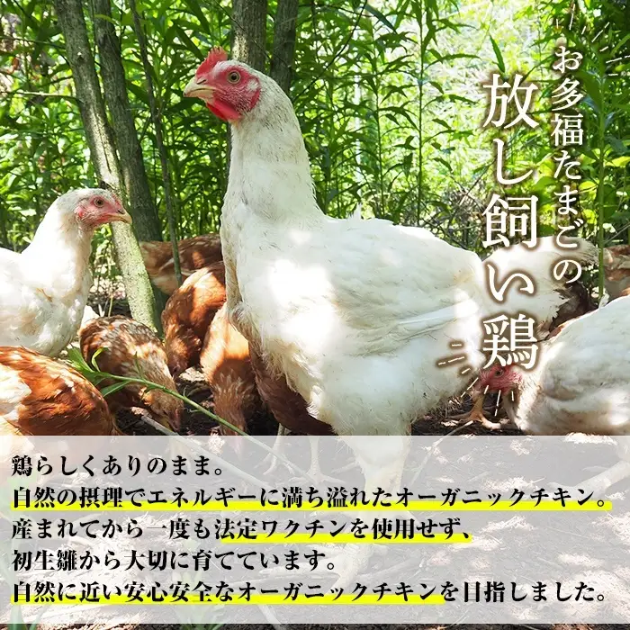 K-622 国産！オーガニックチキン 手羽先 手羽元セット (計1.2kg～1.6kg)【お多福たまご】霧島市 国産 鶏肉 鳥 オーガニック 有機JAS認定 抗生物質不使用 ワクチン不使用 ワクチンフリー 無投薬飼育 冷凍