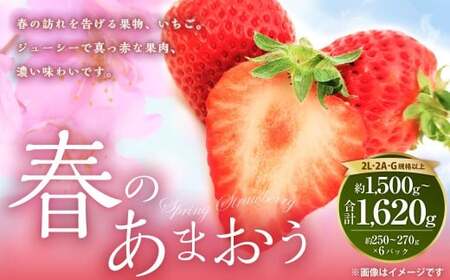春のあまおう （2L ・ 2A ・ G規格以上 6パック） 【数量限定】 【2027年3月上旬～4月下旬発送予定】 あまおう 苺 いちご 果物 果実 フルーツ 九州 福岡県 遠賀町 冷蔵