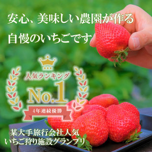 GF003_【2025年11月中旬～2026年4月発送】エクセレント400ｇ