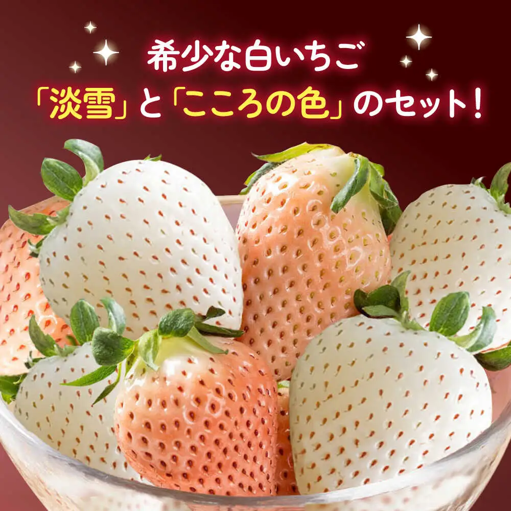 【2027年2月以降順次発送】淡雪・こころの色 白いちごプレミアム 計440g（220g×2パック）/ 岸川農園 [41ASAG007]