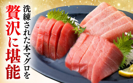 【全12回定期便】対馬産 本マグロ 740g（赤身300g、中トロ300g、切り落とし140g） ≪対馬市≫【桐谷商店】 トロの華 対馬 新鮮 マグロ 赤身 トロ 切り落とし 鮪 刺身[WAQ082]