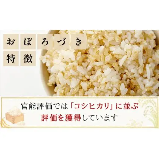令和7年産!ファーム坂口の特別栽培米 おぼろづき玄米10kg(5kg×2袋)
