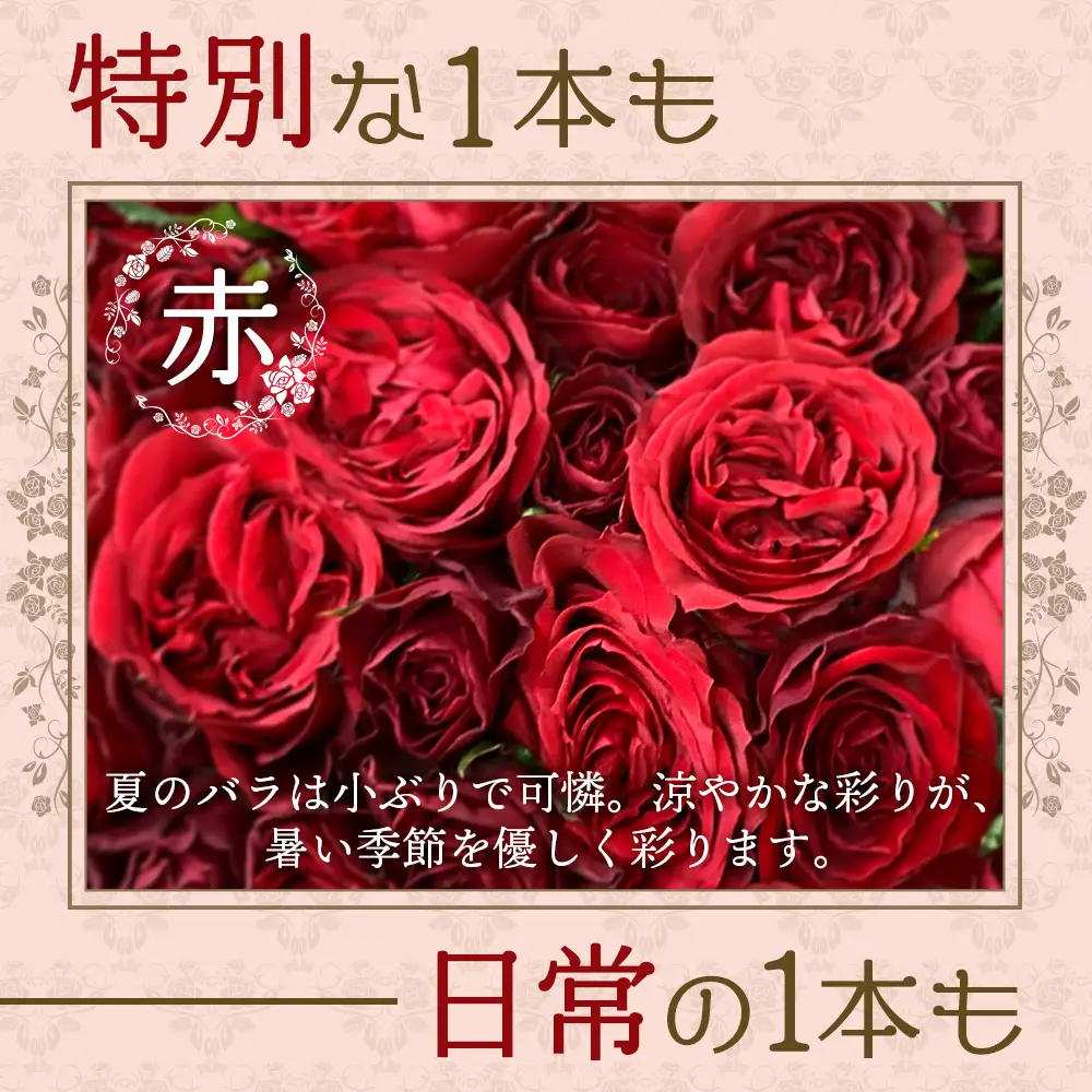 【日付指定必須・ギフト対応可】 夏季限定 ばら農家直送！バラ花束18本以上お届け(赤系) TB-1│ローズ 新鮮 花 フラワー 花束 ばら 薔薇 バラ 誕生日 記念日 結婚祝い ギフト プレゼント お祝い 贈り物 贈答 鹿児島県 南大隅町 富田バラ園