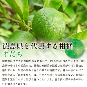 【2026年8月下旬発送】すだち 1kg 露地栽培 徳島県産 旬 スダチ 柑橘 酢 ビネガー 焼き魚 果汁 鮭 サーモン さば