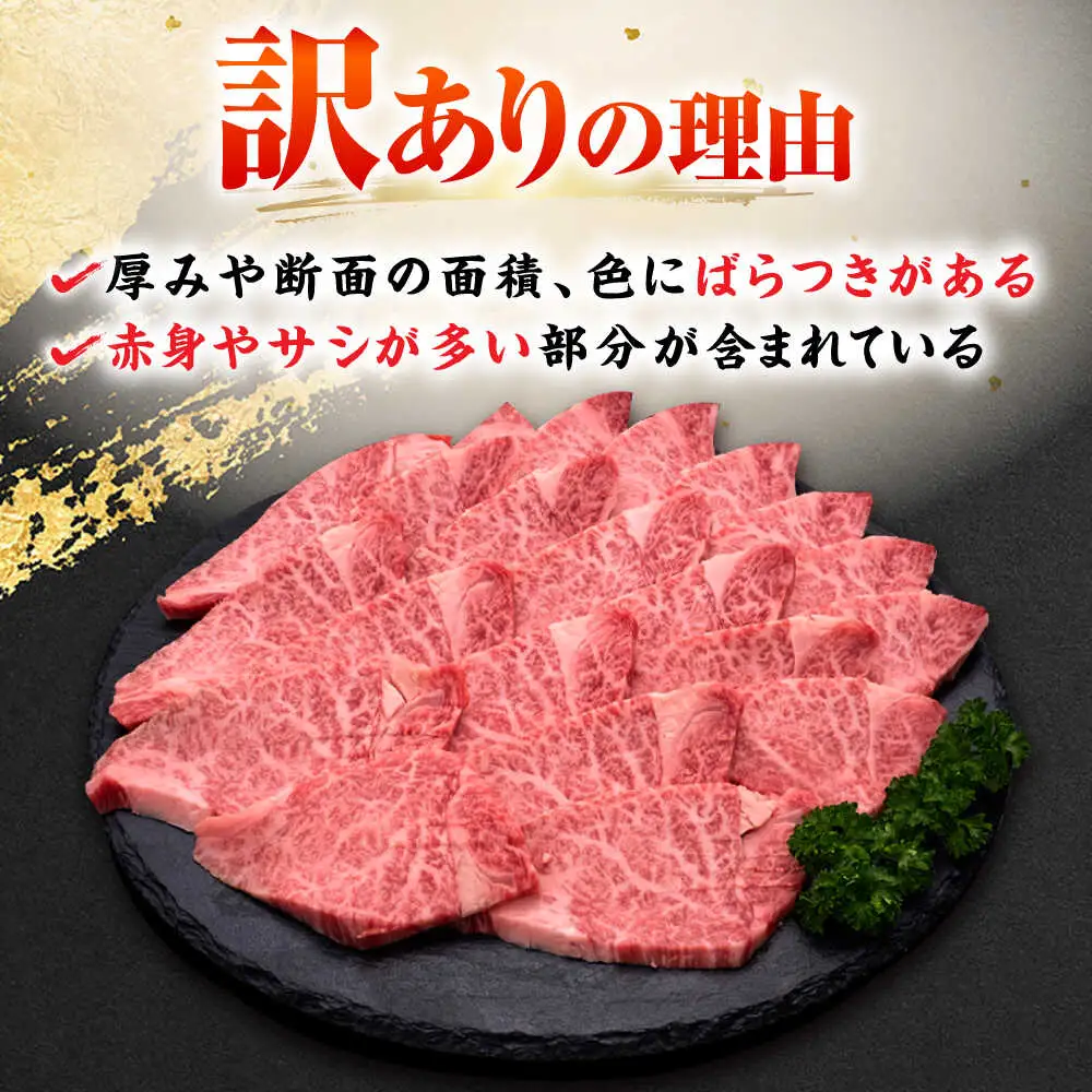 【訳あり】博多和牛ヒレ焼肉用 600g [BGAM012]牛肉 焼肉