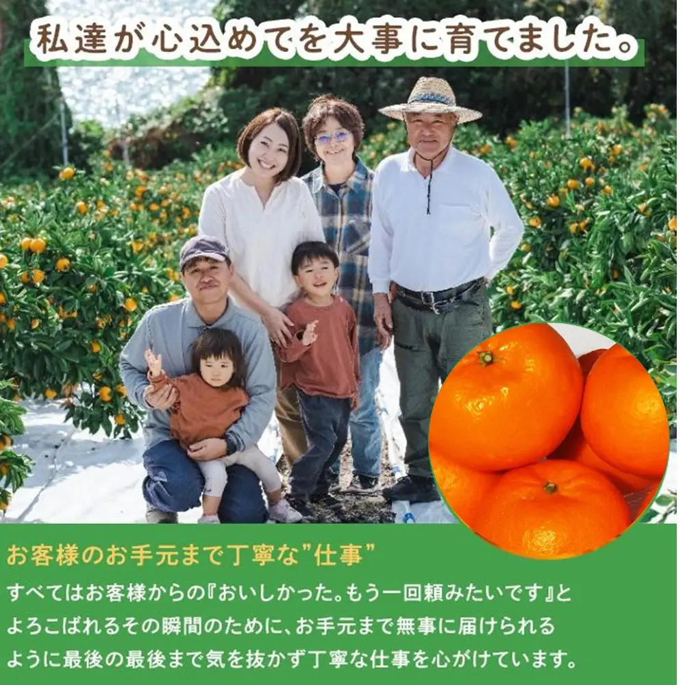 はれひめ「みかんの甘み」と「オレンジの香り」の新品種！5kg