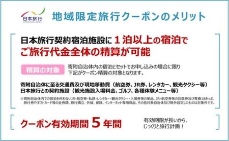長野県軽井沢町 　日本旅行　地域限定旅行クーポン60,000円分（Eメール発行）