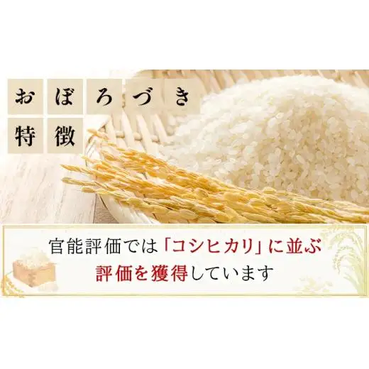 令和7年産!ファーム坂口の特別栽培米 おぼろづき精米 5kg