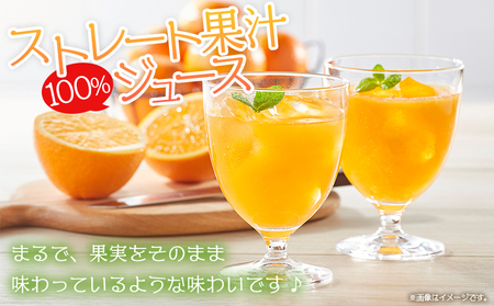 ＜マルワフルーツ柑橘アソート 100％ストレート果汁ジュース 500ml×10本＞ 詰め合わせ セット スイーツ 果物 フルーツ みかん オレンジ 柑橘 清見 でこひめ 河内晩柑 伊予柑 せとか 特産品 愛媛県 西予市【常温】『1か月以内に順次出荷予定』UUB0076