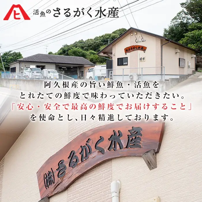 養殖真鯛切身(約2kg) 鹿児島県 阿久根市 たい タイ 真鯛 魚貝 魚介 海産物 切身 切り身 煮物 煮つけ 焼き魚 おかず おつまみ 小分け 【さるがく水産】akn028-47