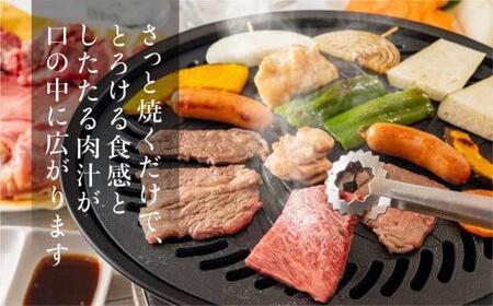 飛騨牛 みすじ ウデ 焼肉 500g | 盛り合わせ ( 赤身 & 霜降り )  焼肉 FC032VC13