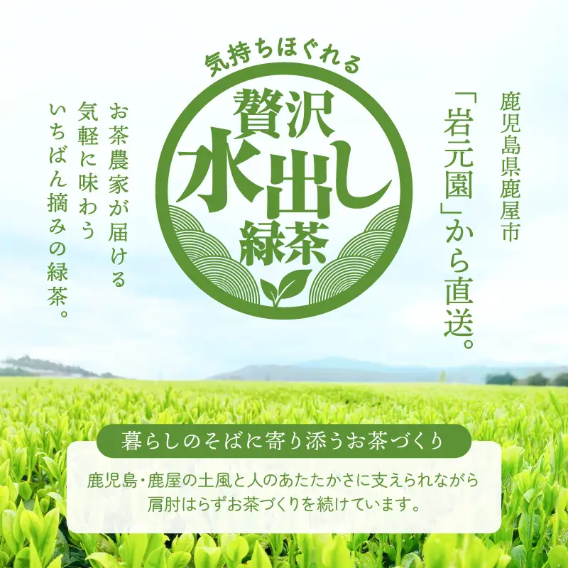 お茶 農家 の 水出し 緑茶 ティーバッグ（ 1番茶 使用 500ml対応 ） KN166-002-01 茶