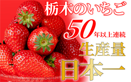 いちご【2月以降発送】朝採れとちあいか 大粒 約270g × 4パック 合計約1080g |イチゴ いちご