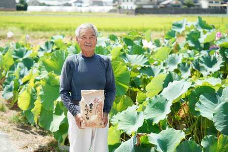 【期間限定】令和7年産 米 ひとめぼれ 5kg 