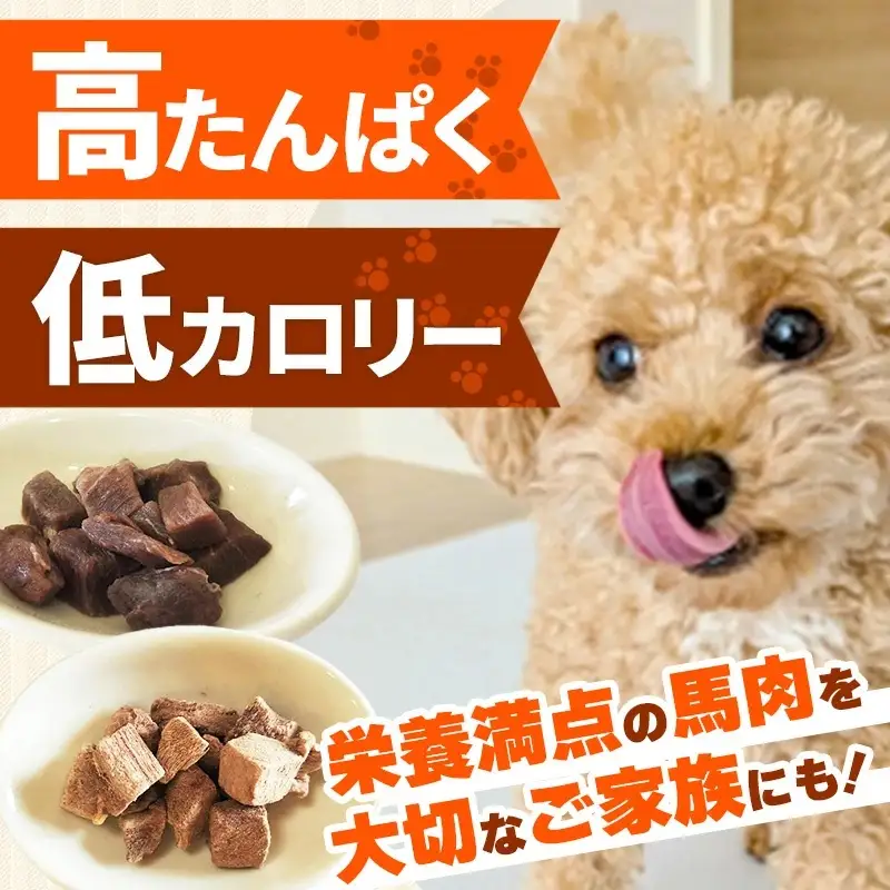 馬肉100％ 犬猫用おやつ - フリーズドライ ペット 健康 おやつ