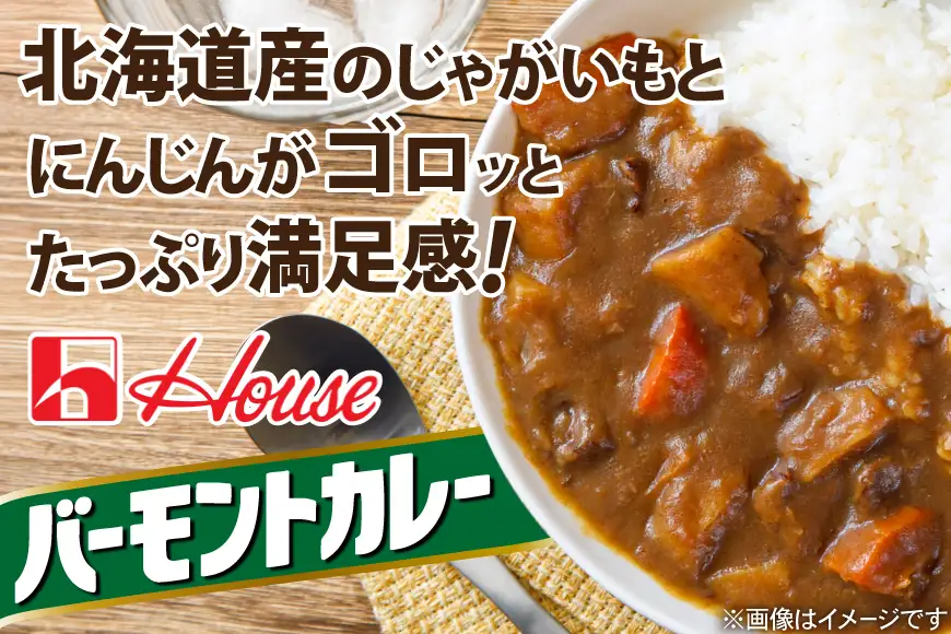 ハウス バーモントカレー中辛＆ジャワカレー中辛 各10個