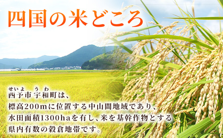 ＜令和7年産 コシヒカリ 玄米 30kg＞ 国産 R7 米 宇和米 げんまい お米 銘柄米 30キロ こしひかり 西予市産 宇和町産 産地直送 愛媛県産 ご飯 JAひがしうわ 東宇和農業協同組合 愛媛県 西予市【常温】『1か月以内に順次出荷予定』UHU0008