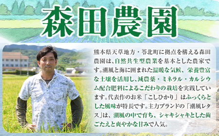 米 白米 コシヒカリ 令和8年産 5kg 森田農園《8月末から順次出荷》 