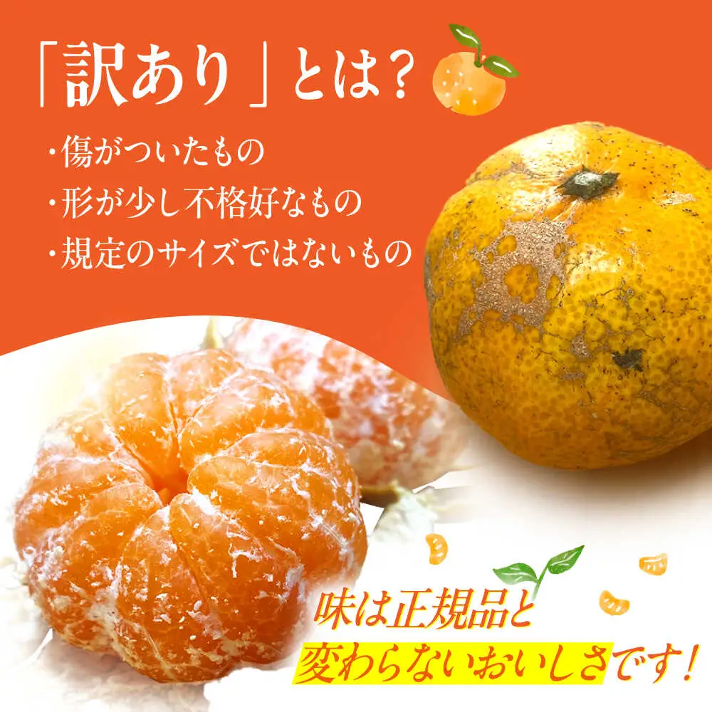 訳ありみかん 5kg 原口みかん [OBP002] 訳あり みかん