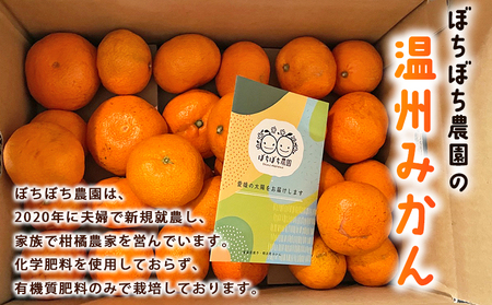 ＜ぼちぼち農園の温州みかん 家庭用 5kg＞ 5キロ うんしゅうみかん 温州ミカン 訳あり わけあり ワケアリ 果物 みかん ミカン 柑橘 フルーツ 国産 特産品 ぼちぼち農園 愛媛県 西予市【常温】『2026年11月～12月迄に順次出荷予定』ABB0002