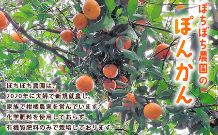＜ぼちぼち農園のぽんかん 家庭用 約5kg＞ 5キロ ぽんかん ポンカン 訳あり わけあり ワケアリ 果物 みかん ミカン 柑橘 フルーツ 生産量日本一 国産 特産品 ぼちぼち農園 愛媛県 西予市【常温】『2027年1月～2月迄に順次出荷予定』ABB0006