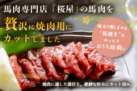 【桜屋】馬肉 焼肉用 500g (カット済) 本場 熊本県 馬焼き 専門店 馬刺し 馬肉 肉 赤身 焼き肉 バーベキュー アウトドア 050-0367