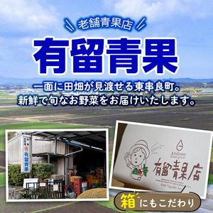 【0473608b】＜定期便・全3回＞自慢の農家×老舗青果店のフルーツ定期便(計6個) メロン アールスメロン スイカ すいか 小玉スイカ 肥後グリーン 果物 フルーツ 果実 セット 【有留青果】
