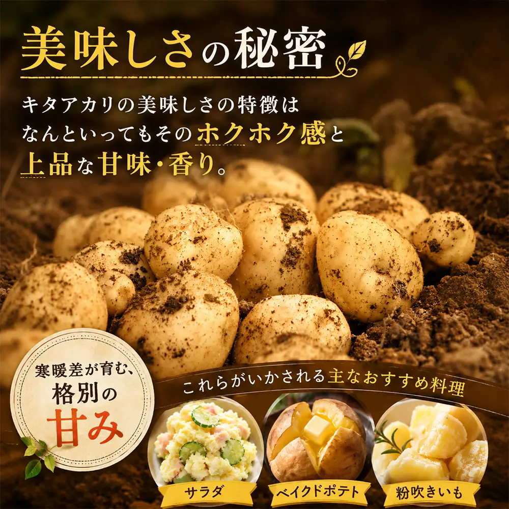じゃがいも 【令和８年産予約受付】 北あかり10kg  じゃがいも 北海道 [010-214]