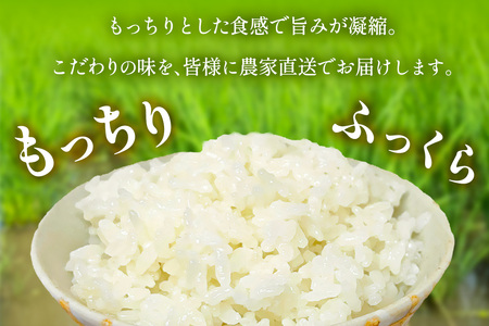 新米[令和8年産／10月下旬より順次発送] 伊勢原産 精米10kg(5kg×2袋) はるみ 農家直送！加藤さんちのうんめぇ！自家製米 [1105]