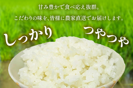 新米 [令和8年産／11月上旬より順次発送] 伊勢原産 精米10kg(5kg×2袋) てんこもり 農家直送！加藤さんちのうんめぇ！自家製米 [1112]