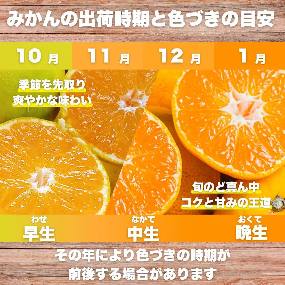 【先行予約】 【愛媛みかん】 訳あり 3kg みかん 愛なんよ