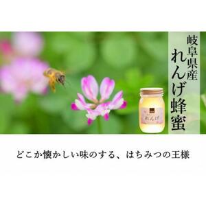 【数量限定】＜養蜂場からお届け＞国産れんげ蜂蜜（600ｇ）【はちみつ 国産蜂蜜】