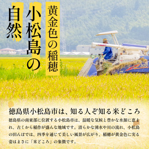 【9月から順次発送】新米 5kg にじのきらめき 令和8年産 コシヒカリ に匹敵 白米 ご飯 