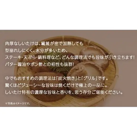 特大 しいたけ 約1kg (30個)【2026年12月上旬発送開始】(茨城県共通返礼品：大子町)