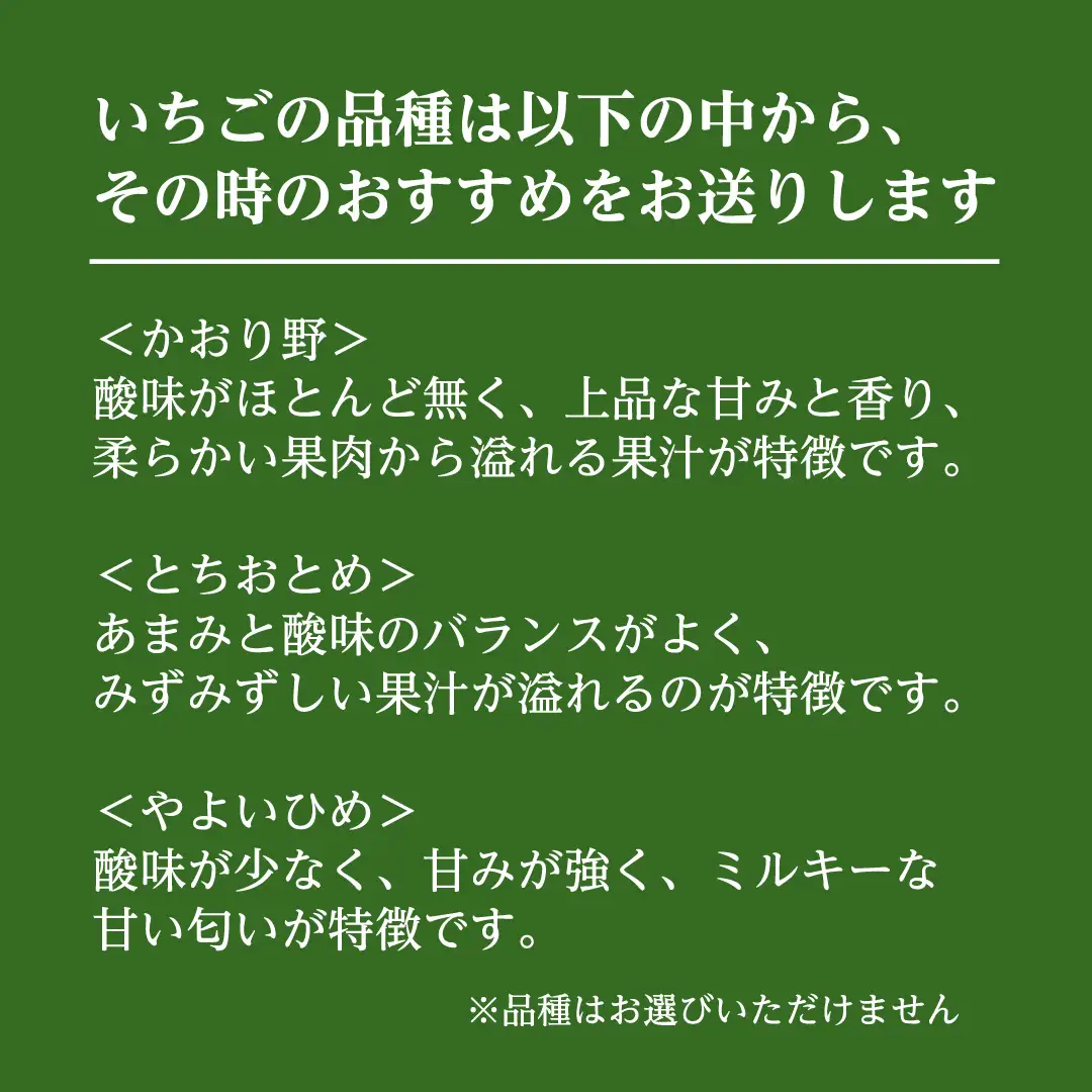 【12/10までの申込で年内にお届け！】 完熟いちご 約260g×2パック 品種おまかせ 年内お届け 国産 いちご イチゴ 苺 [BC089sa]
