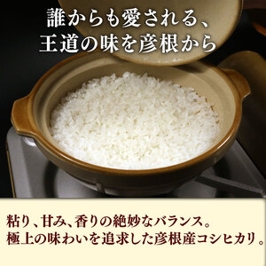 【無洗米】令和7年 彦根産 米 コシヒカリ 10kg（5kg×2袋）
