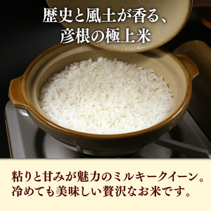 【白米】令和7年 彦根産 米 ミルキークィーン 10kg (5kg×2袋）