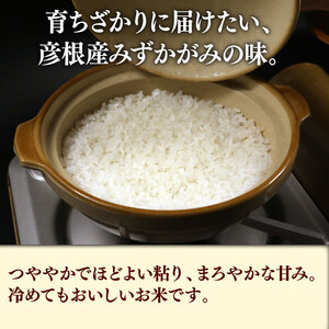 【白米】令和7年 彦根産 米 みずかがみ 10kg（5kg×2袋）