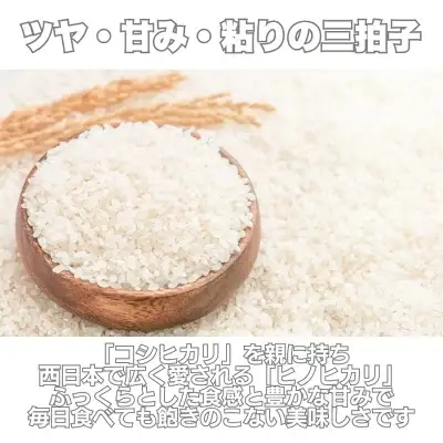 【 ヒノヒカリ 】 ヒノヒカリ 5kg 愛なんよ 愛媛県 愛南町
