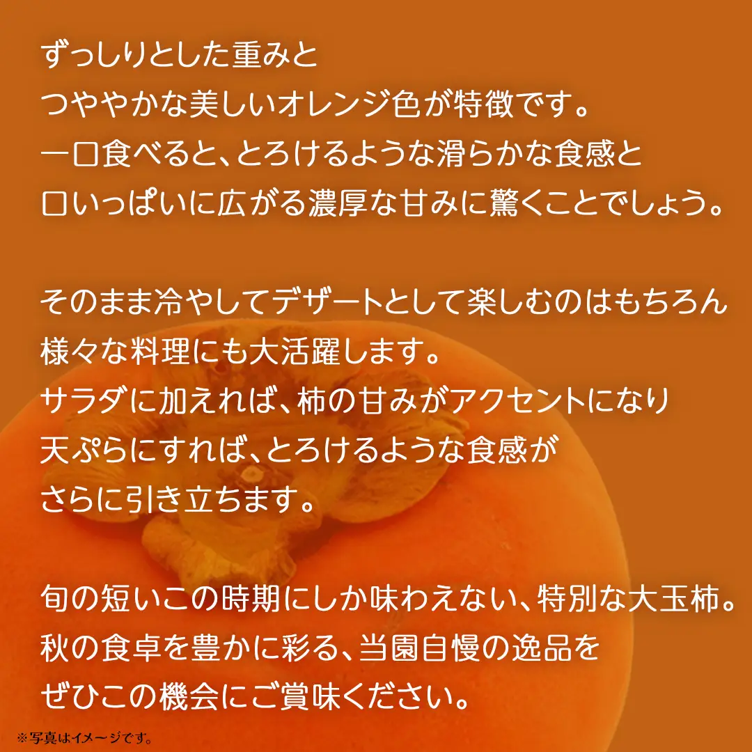 旬な大玉 柿 約3kg 10～14個 【2026年10月上旬発送開始】(茨城県共通返礼品：大子町) 柿 かき カキ 果物 フルーツ 旬 季節限定 期間限定