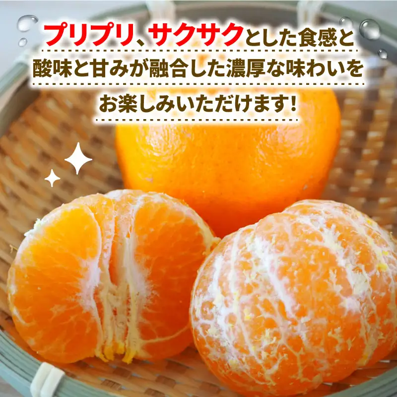 ぽんかん 5kg WF ぽんかん B010-024031