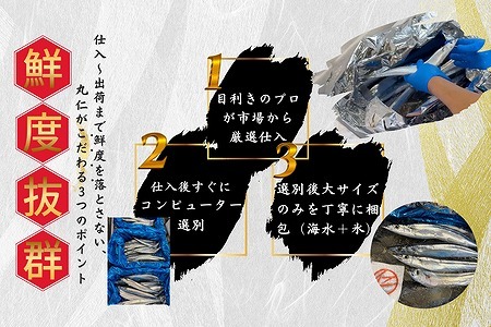 【北海道根室産】鮮さんま16尾入(計2kg) A-50020