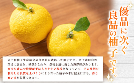 ＜柚子 良 Sサイズ (24個入り) × 3箱＞ 約6kg ゆず ユズ 国産 柑橘 かんきつ 低樹高栽培 おいしい 産地直送 黄柚子 薬味 柚子胡椒 国産柚子 フルーツ JAひがしうわ 東宇和農業協同組合 愛媛県 西予市【常温】『2025年10月下旬～12月上旬迄に順次出荷予定』UHU0006