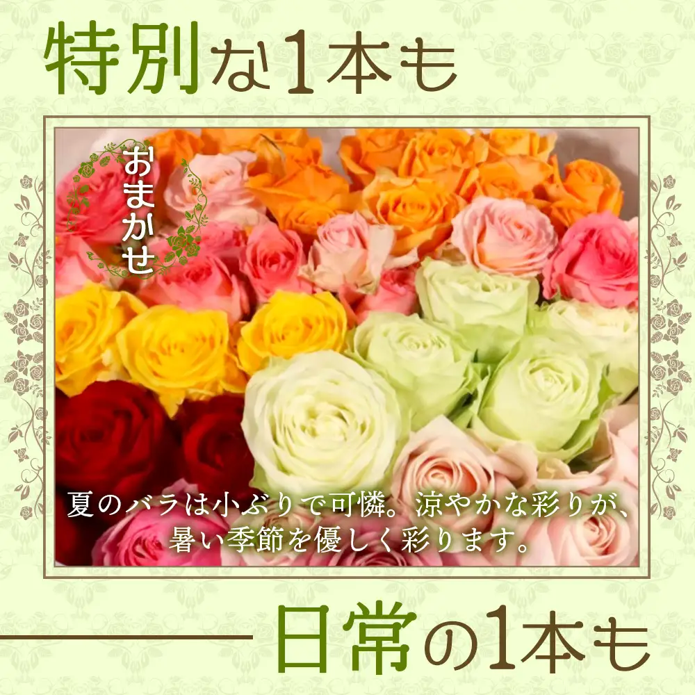 【日付指定必須・ギフト対応可】 夏季限定 ばら農家直送！バラ花束40本以上お届け(色はおまかせ) TB-8│ローズ 新鮮 花 フラワー 花束 ばら 薔薇 バラ 誕生日 記念日 結婚祝い ギフト プレゼント お祝い 贈り物 贈答 鹿児島県 南大隅町 富田バラ園