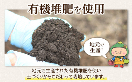 【3ヶ月定期便】【令和8年産 新米】【福井県大野市】さかだに棚田清流米！(コシヒカリ)5kg×3回　計15kg「今話題の、あのバンドのロケ地！」