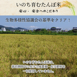 米 コシヒカリ 5kg 天皇献上米 (栽培期間中）化学肥料・農薬不使用米 令和7年産 