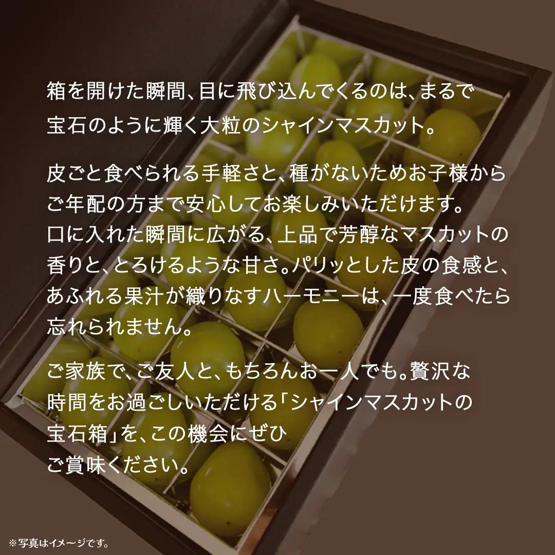 【 お歳暮 熨斗付き 】 シャインマスカット の宝石箱 18粒 (茨城県共通返礼品：大子町)