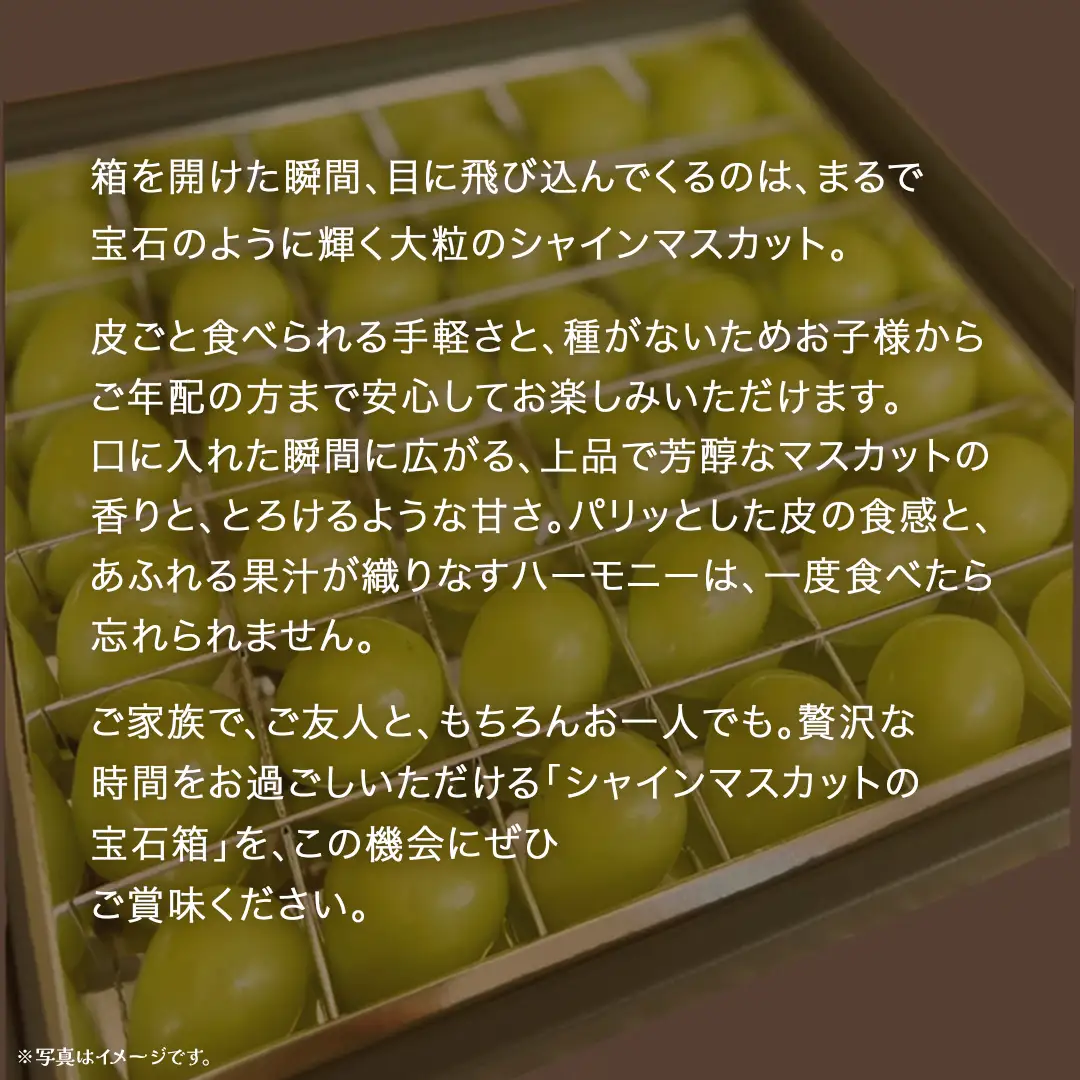 【 お歳暮 熨斗付き 】 シャインマスカット の宝石箱 36粒 (茨城県共通返礼品：大子町)